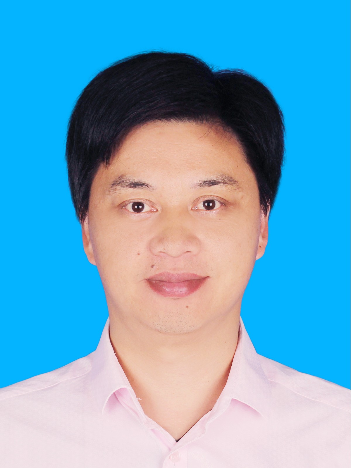 黄身桂